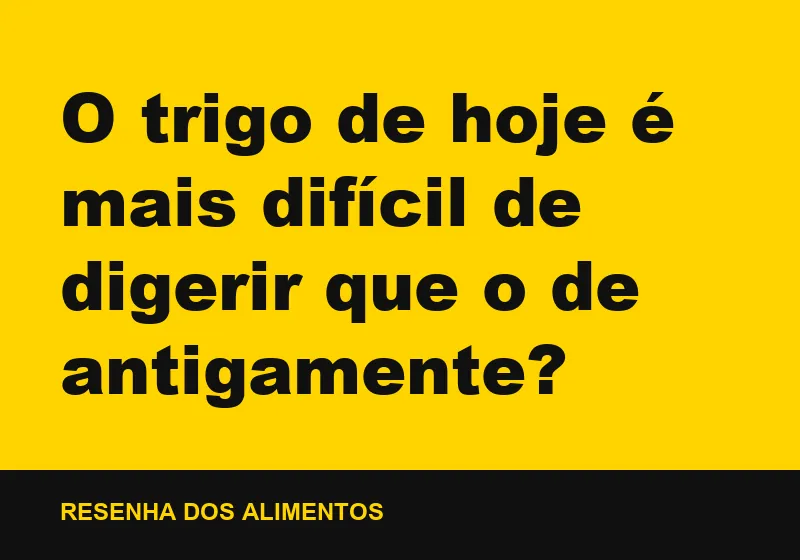 O trigo de hoje é mais difícil de digerir que o de antigamente?
