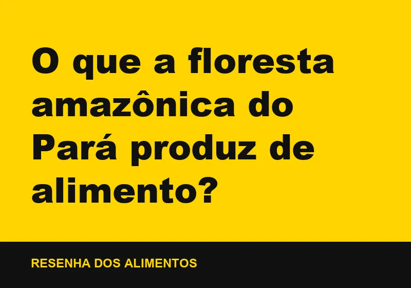 O que a floresta amazônica do Pará produz de alimento?