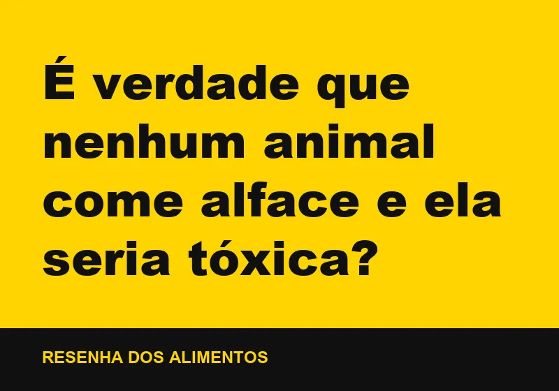 É verdade que nenhum animal come alface e ela seria tóxica?